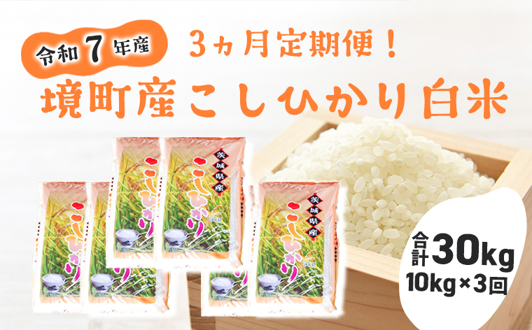 【3ヶ月連続定期便】令和7年産 境町のこだわり「こしひかり」 白米10kg(5kg×2袋)×3ヶ月（合計30kg）