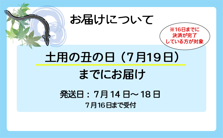 【土用の丑の日までにお届け(7月14日～18日発送)】 国産うなぎ3尾 計300g以上 数量限定 先行予約 さかい河岸水産 ※サイズ無選別 蒲焼き 鰻 ウナギ K1804