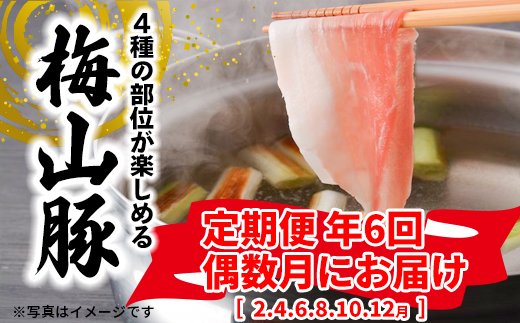 【6回定期便/偶数月発送】 塚原牧場 幻の豚 「梅山豚」 しゃぶしゃぶセット