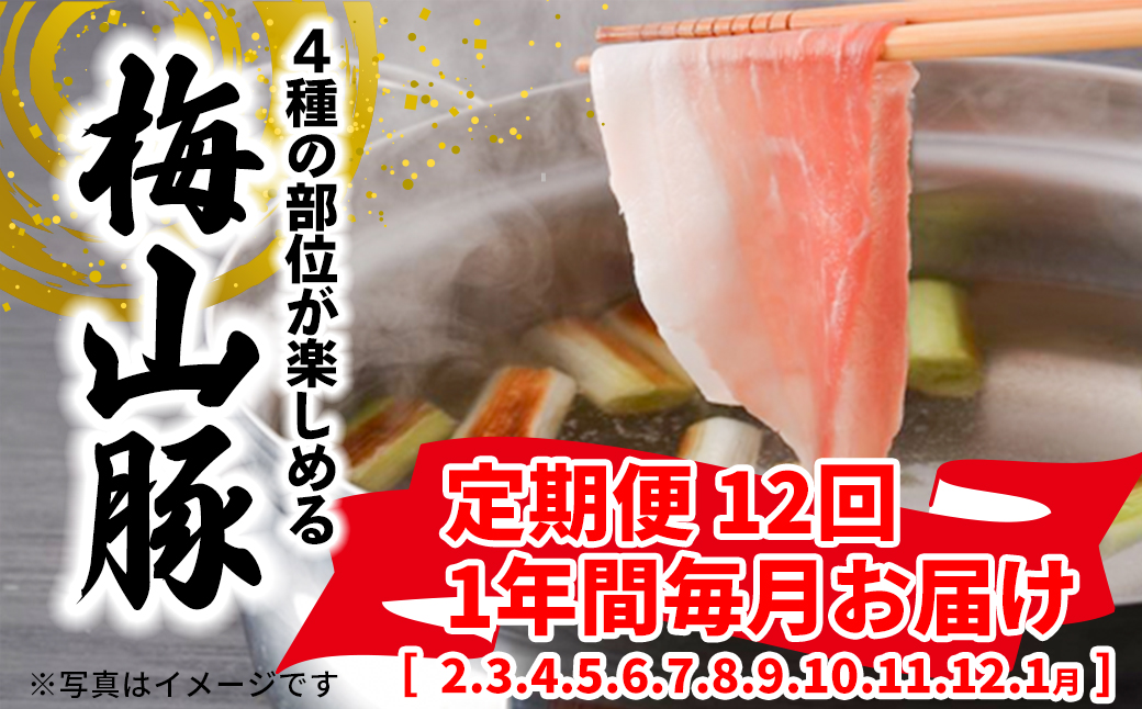 【12回毎月定期便】 塚原牧場 幻の豚 「梅山豚」 しゃぶしゃぶセット