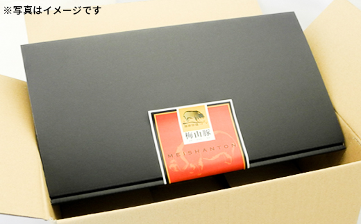 【12回毎月定期便】 塚原牧場 幻の豚 「梅山豚」 点心セット