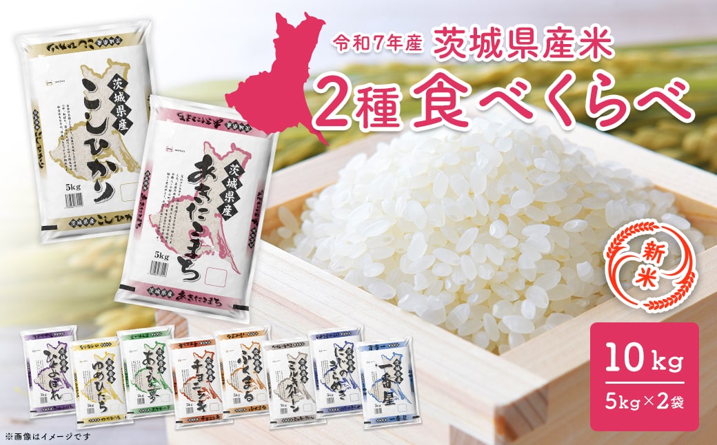 【新米】＜令和7年9月内発送＞ 令和7年産  白米 2種食べ比べ 10kg茨城県産