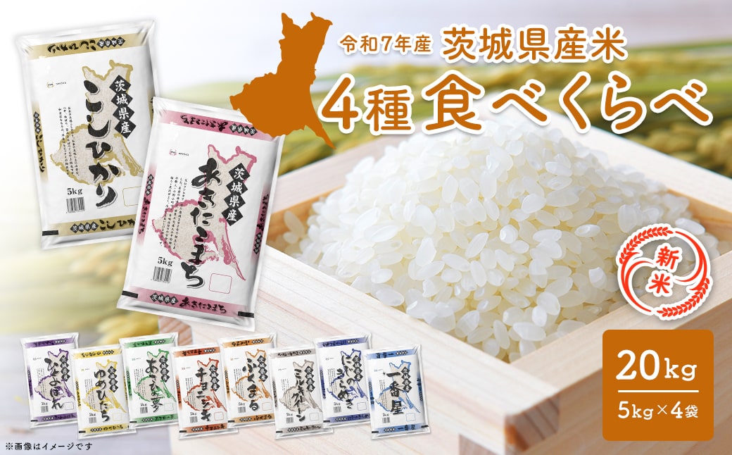 【新米】＜令和7年9月内発送＞ 令和7年産  白米 4種食べ比べ 20kg茨城県産