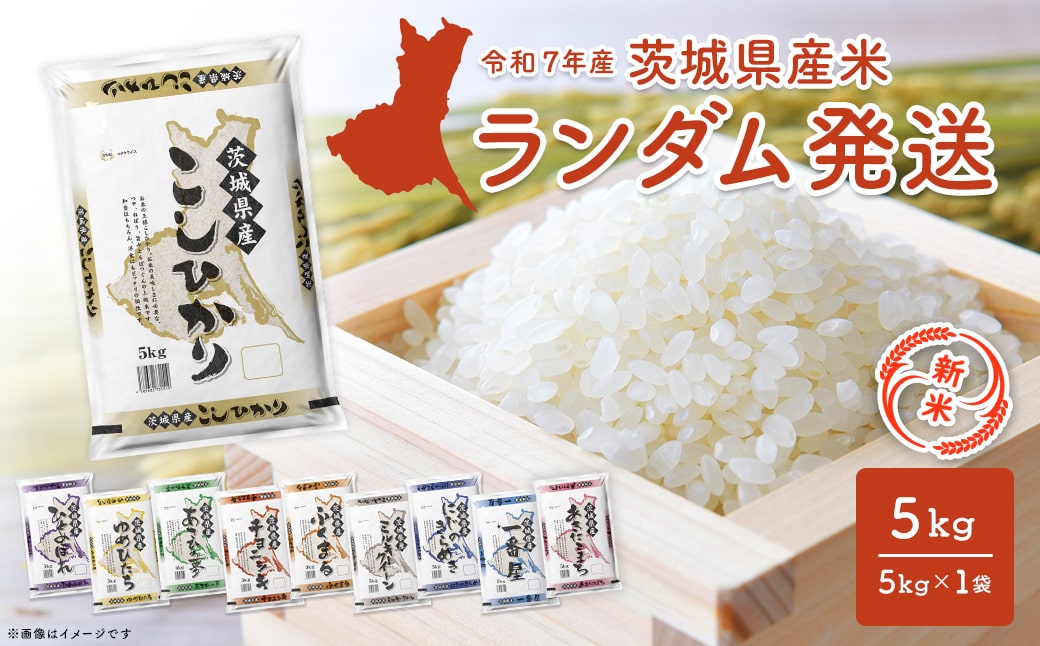 【新米】＜令和7年9月内発送＞ 令和7年産 ランダム 茨城県産 白米 5kg