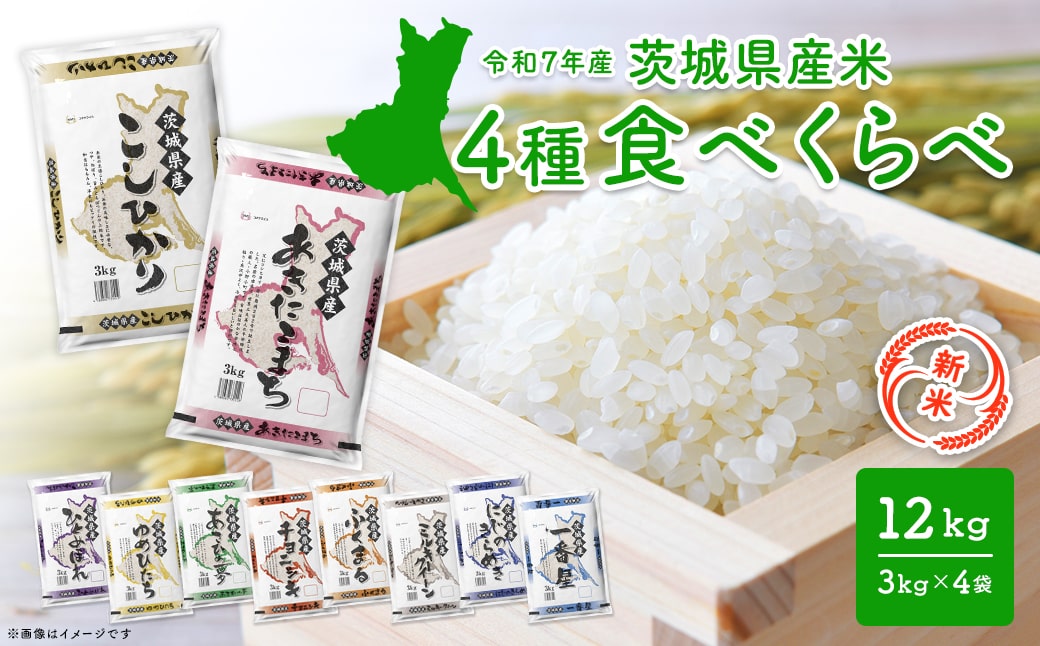 【新米/白米】＜令和7年9月内発送＞ 令和7年産 4種食べ比べ 12kg茨城県産