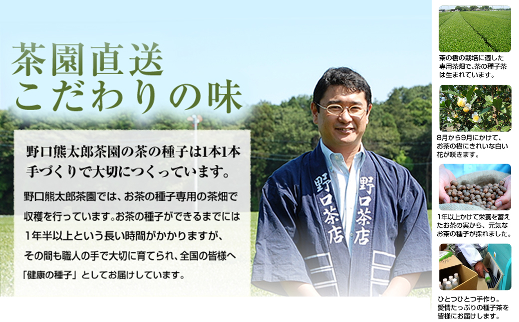 たね茶3種セット