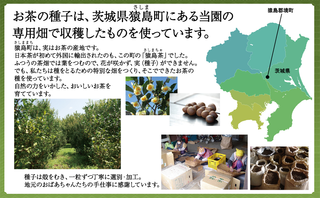 たね茶3種セット