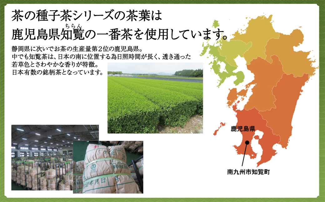 たね茶3種セット