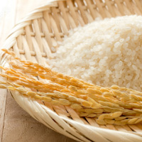 お米・麺類・パン