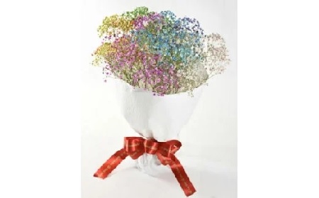 【毎月50セット限定】七色に輝く生花 ロマンチックかすみ草 ＜ふわふわブーケ＞
