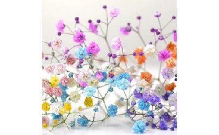 【毎月50セット限定】七色に輝く生花 ロマンチックかすみ草 ＜プレミアムスマイルブーケ＞